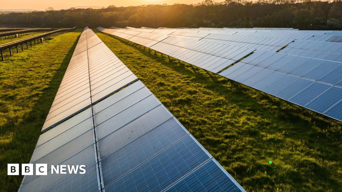 Rows of solar panels stretch across a grassy field, angled toward the low sun.