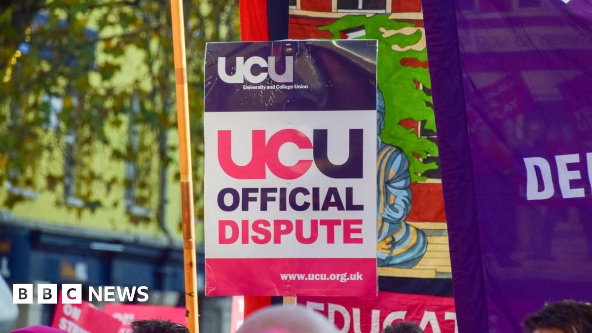 A purple, white and pink placard reading UCU official dispute, alongside a purple flag