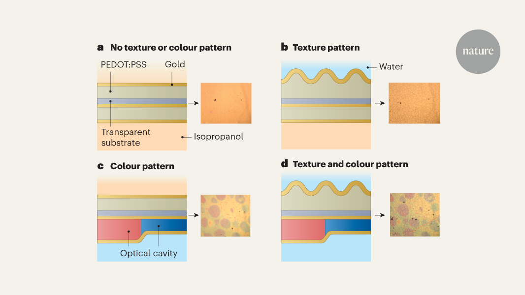 Artificial skin mimics the octopus’s art of disguise - Nature