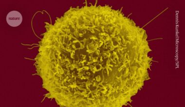 Huge Chinese cell atlas reveals surprising immune variation among peoples