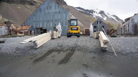 South Georgia Heritage Trust A JCB vehicle outside a large wooden building. New planks of wood are on the ground outside and two workers in white hazmat suits are also visible 