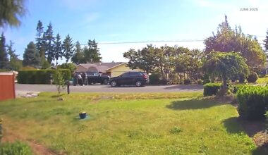 Jury finds Washington man not guilty of assaulting federal immigration agents during arrest