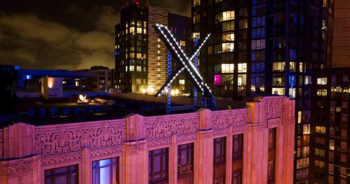 Canadian government mulls response to X’s AI-generated sexual abuse material - National