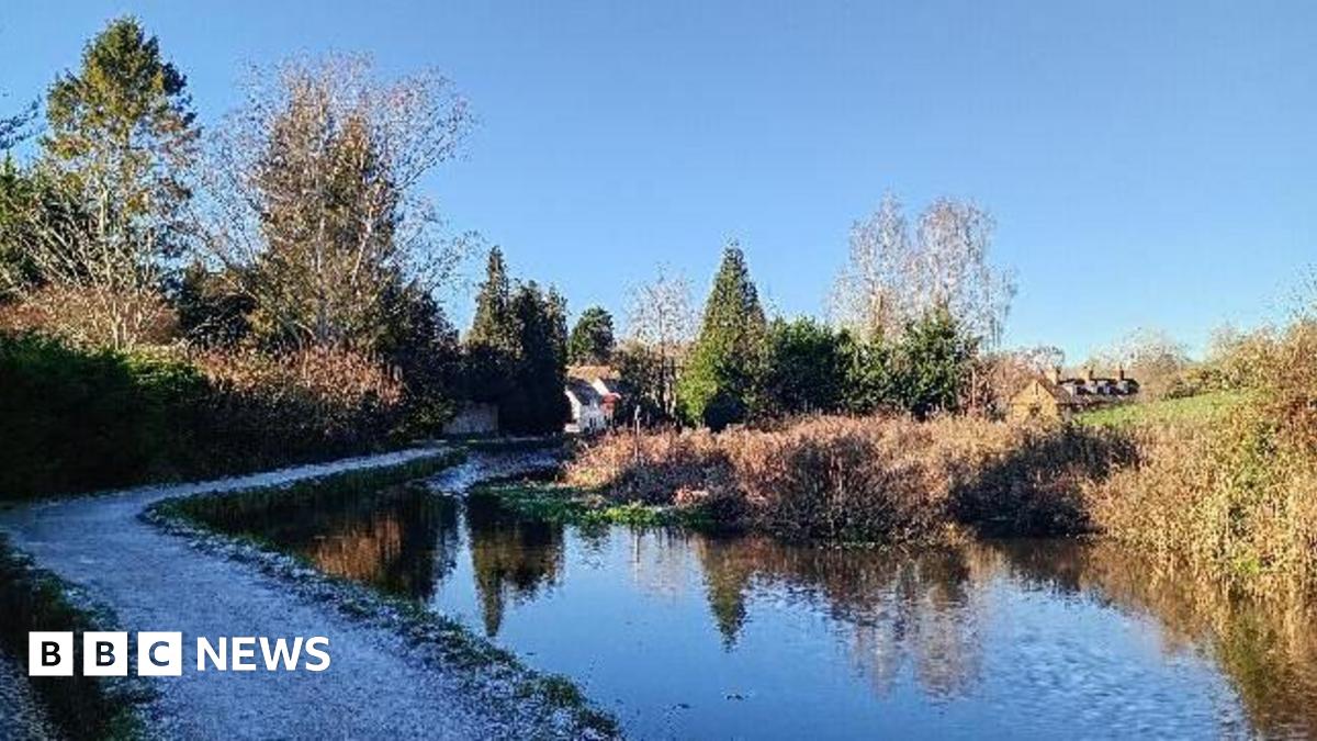 The image shows a river snaking through some land, with tall grass and trees on either bank. The sky is light blue and trees can be seen in the background.