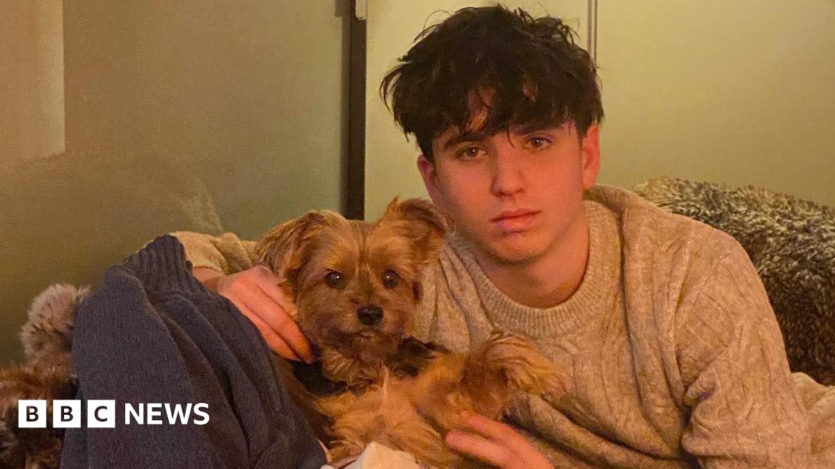 Three pictures side by side of teenagers, from left to right: A young man with blonde hair, a young woman with brown hair and a young man with brown hair.