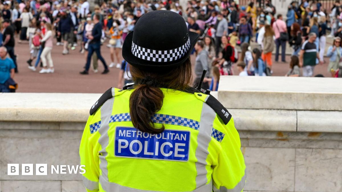 A female police officer with her back to the camera, wearing a fluorescent jackets with Metropolitan Police written on it, looks out over a crowd of people.