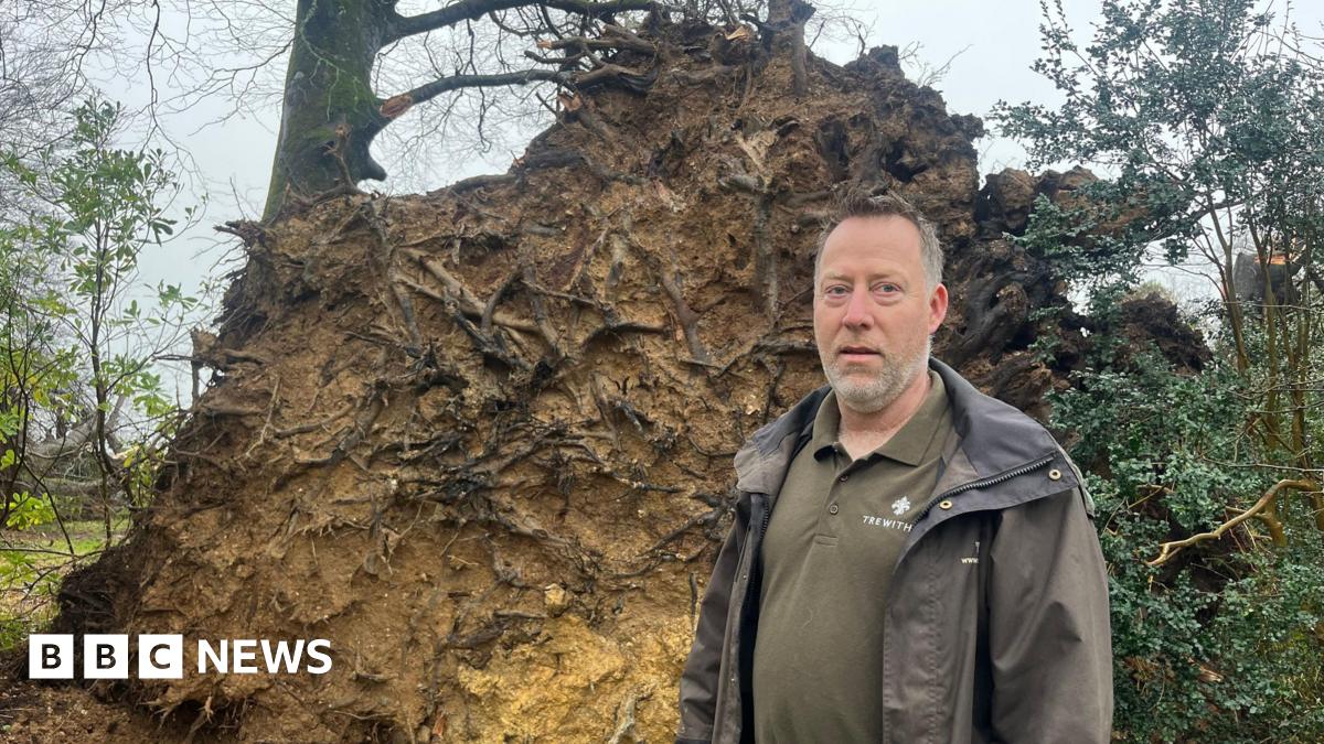 Gary Long stands in front of a huge root ball of a tree which has fallen. He looks serious. He has short brown and grey hair and a grey beard. He is wearing a Trewithen-branded top under a wax jacket.