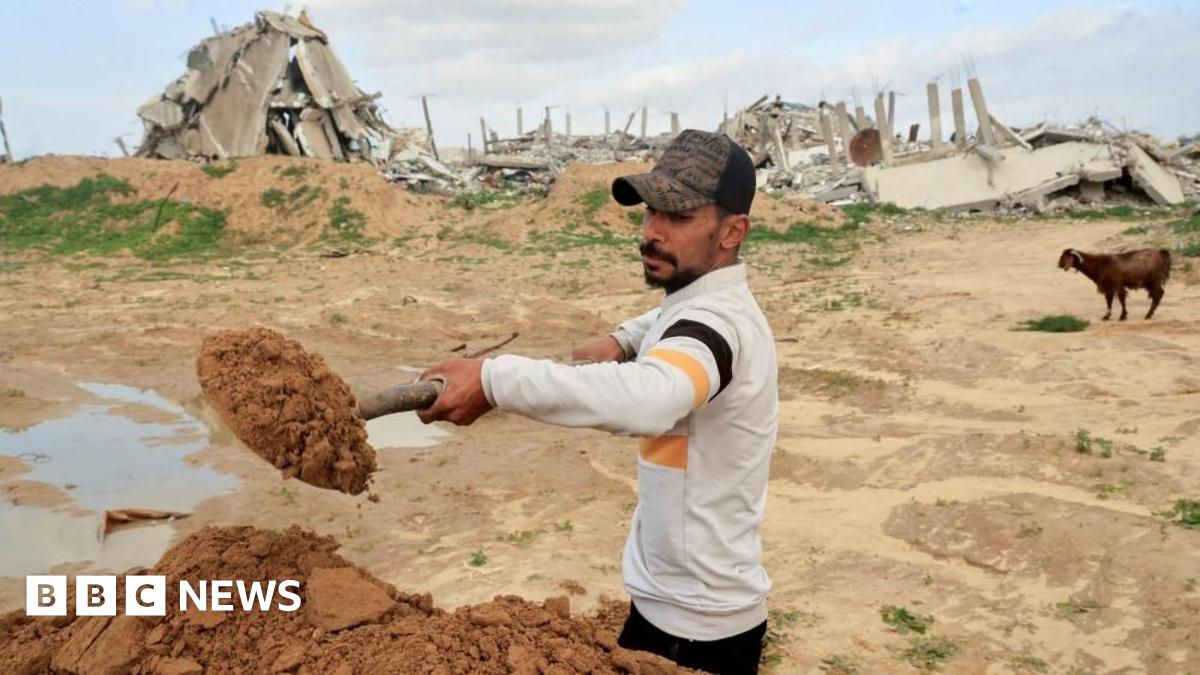 Inside the Factory: Oven Chips