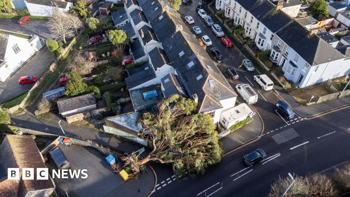 A tree fell on to a property in Falmouth. It is a large green tree on top of a house on the end of a road.