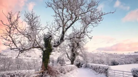 BBC Weather Watchers / Ruth Davies A sunny, snowy scene showing trees, a valley and a completely snowed-over country lane.