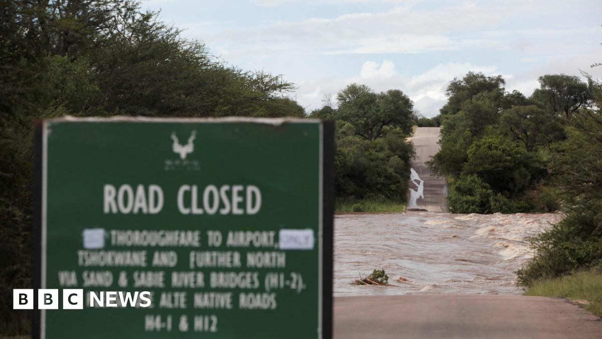 A flooded, closed road road in Kruger national park.