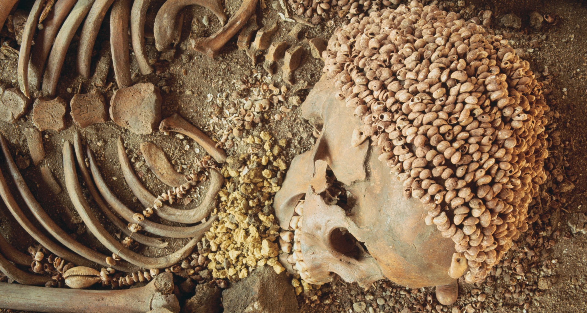 human skeleton with a headdress made of shells