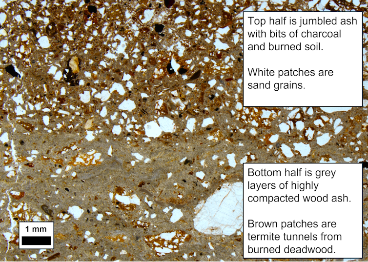 A mix of grey, brown, white and black colors showing what soil and ash looks like under a microscope.
