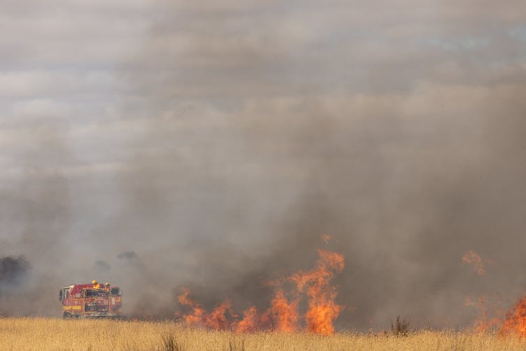 A fire in a paddock with a fire truck in the background.