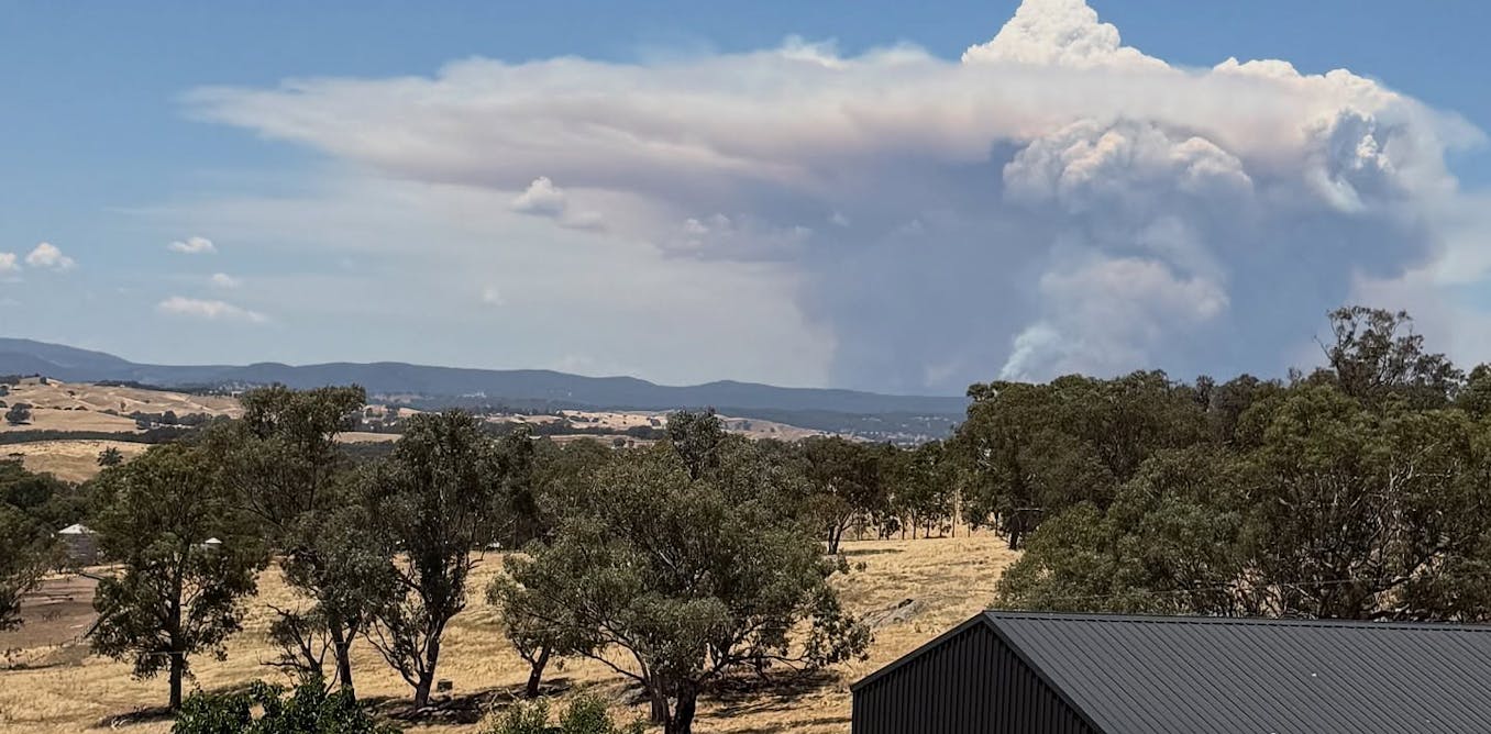 When bushfires make their own weather
