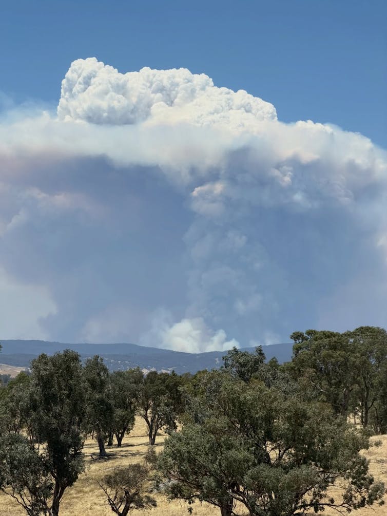A pyrocumulus grows over the Mount Lawson fire.
