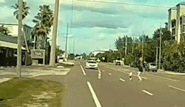 Florida driver saves toddlers from busy road in heroic rescue: 'I was terrified'
