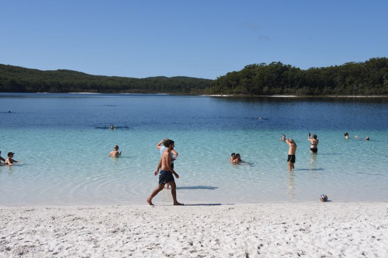 Hundreds of thousands of visitors go to K'gari each year to swim in the clear waters of Lake McKenzie and immerse themselves in nature.
