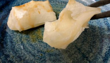 Woman chokes to death on mochi rice cake as fatal New Year's trend continues in Japan