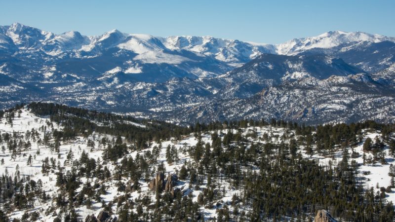 Suspected mountain lion attack in Colorado leaves woman dead