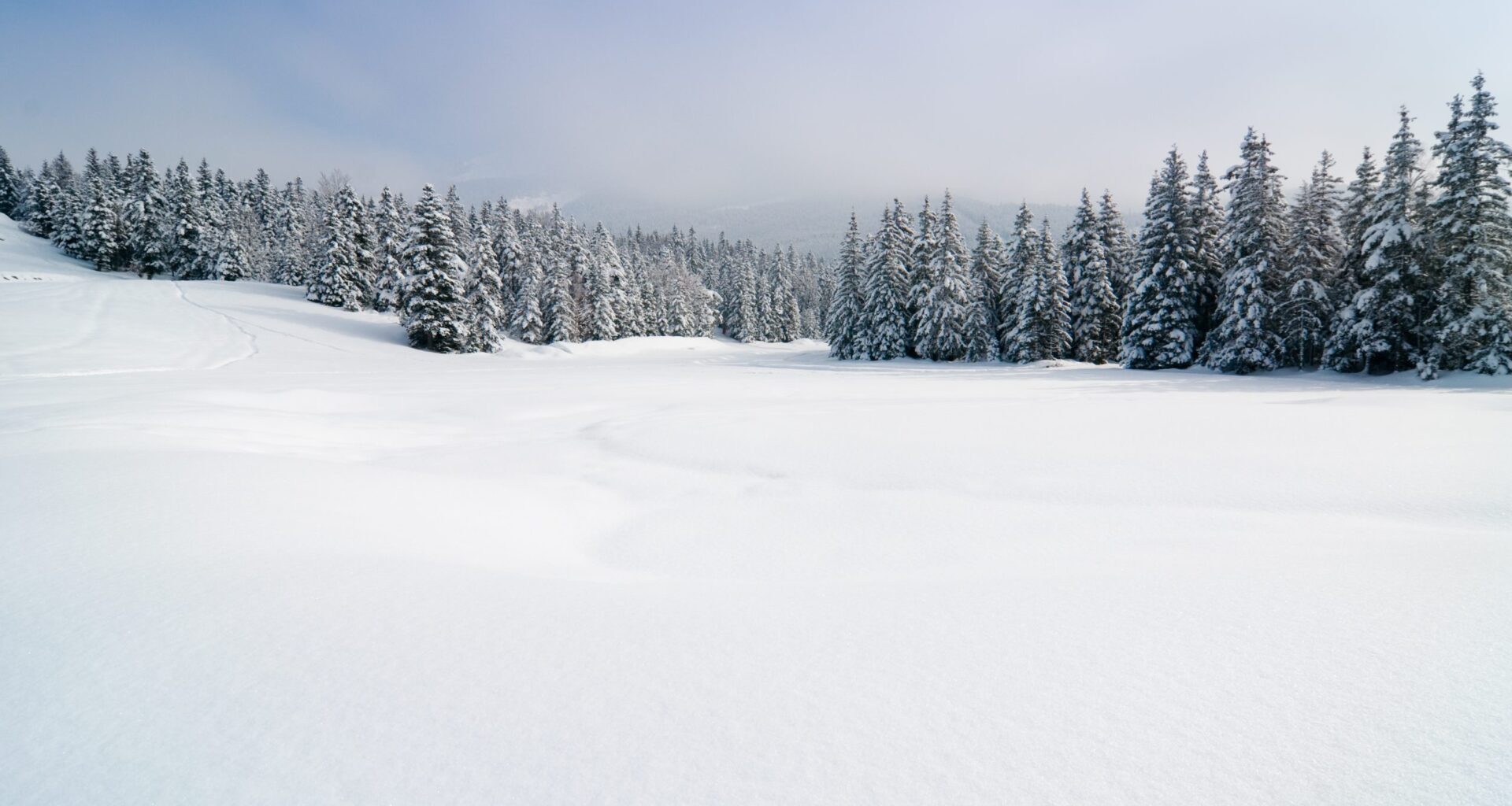 Far East Russia Laughs In The Face Of An American Snow Day