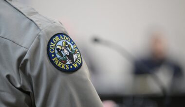 Suspected mountain lion attack in Northern Colorado leaves woman dead; officers euthanize 2 animals