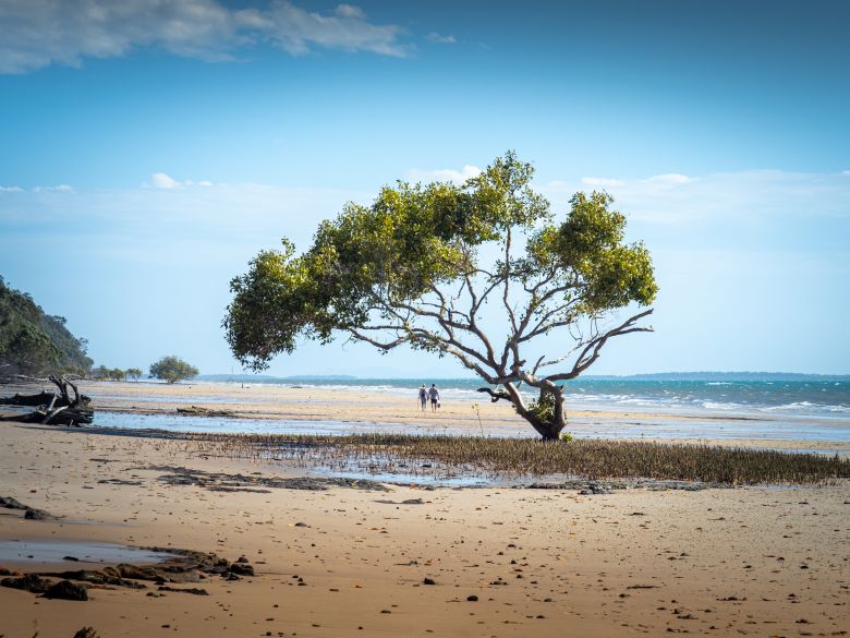 K'gari has a permanent population of fewer than 200 people.