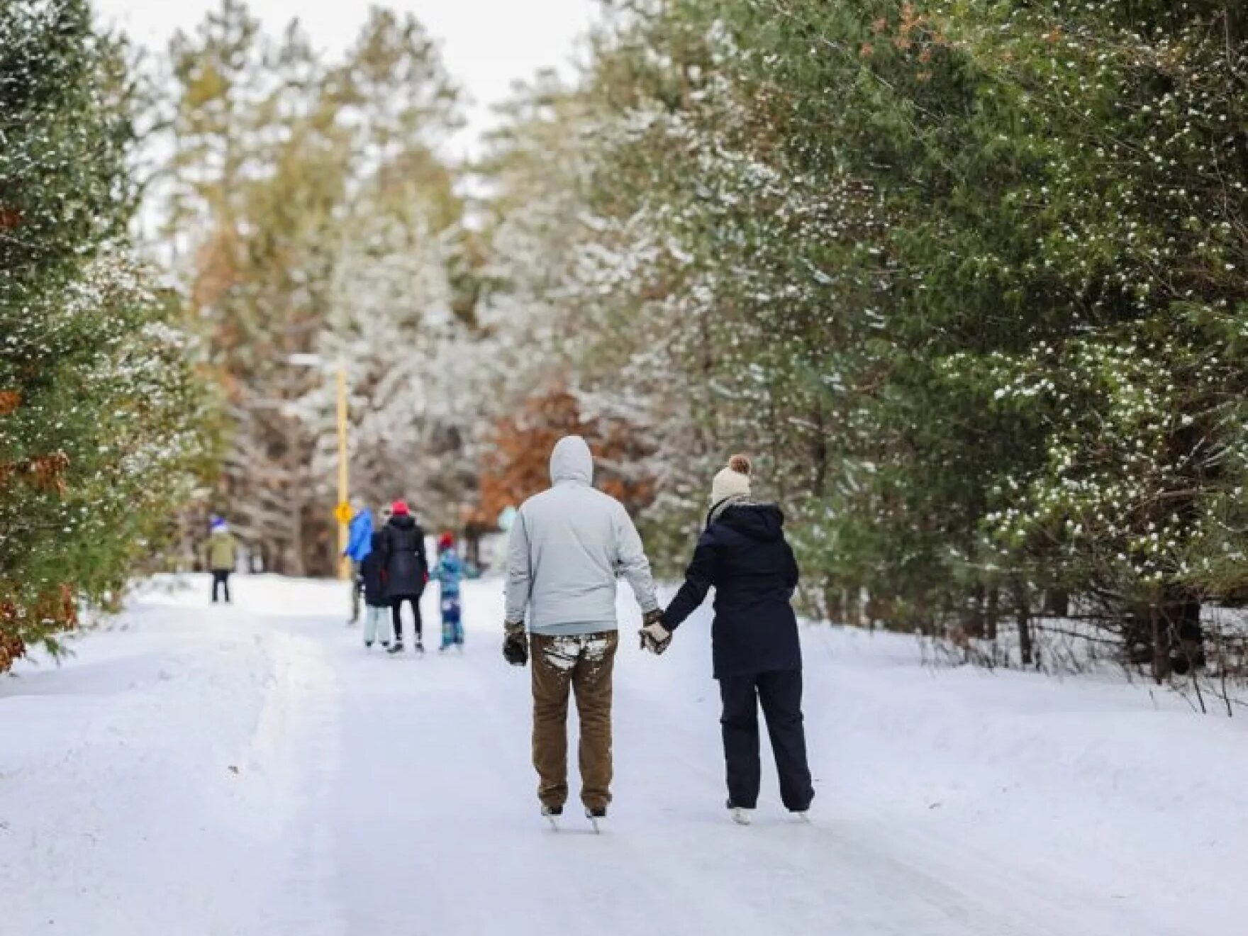 Two people walk hand-in-hand on a snowy path lined with trees; several others walk ahead in the background.