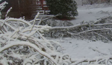 How much snow fell in Massachusetts? – Boston 25 News