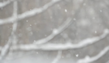 Winter Storm Watch for whole region ahead of significant weekend snow – WHIO TV 7 and WHIO Radio