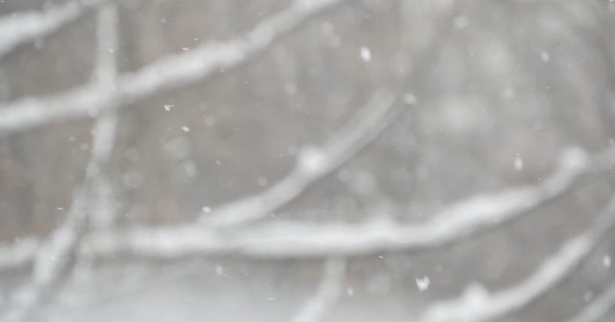 Winter Storm Watch for whole region ahead of significant weekend snow – WHIO TV 7 and WHIO Radio