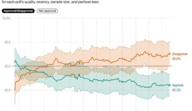 One Year In, Voters Are Souring on Trump. Are Democrats Capitalizing?