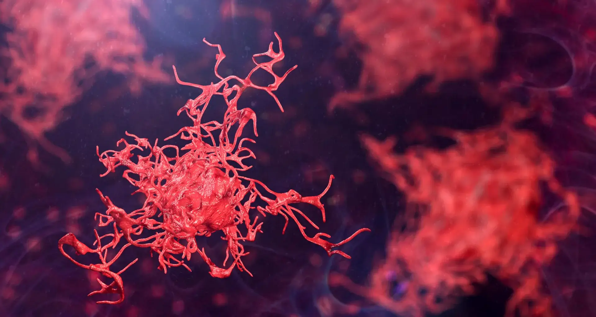 Scientists call for urgent action as dangerous amoebas spread globally