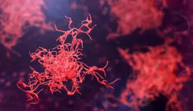 Scientists call for urgent action as dangerous amoebas spread globally