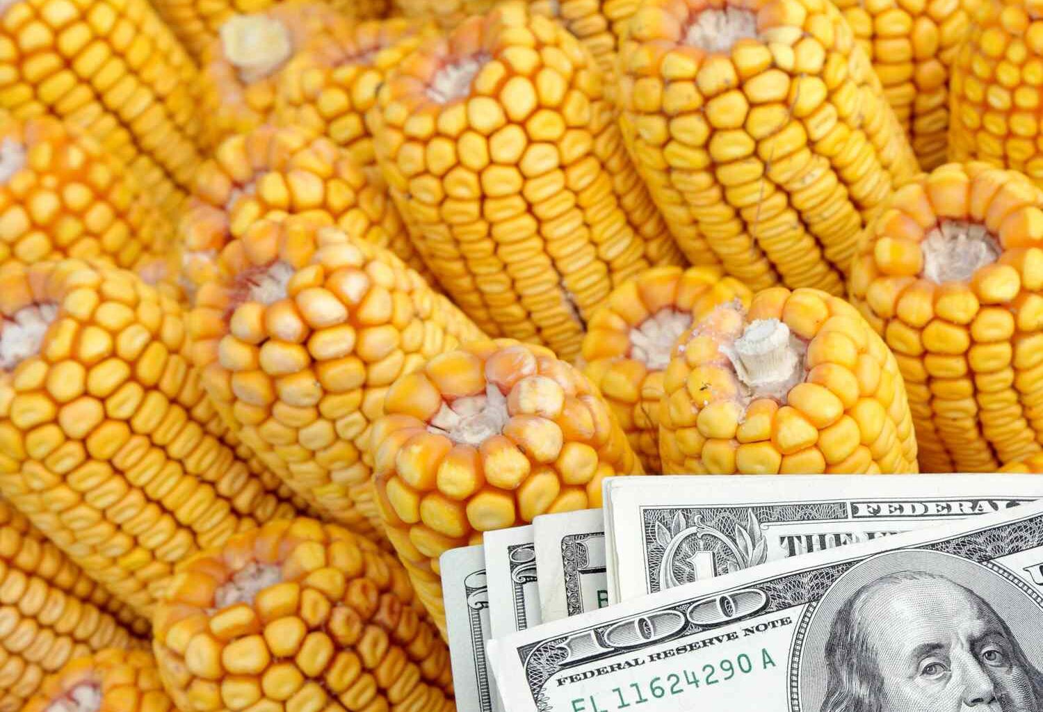 Lawmakers Eye at Least $15 Billion More in Farmer Aid