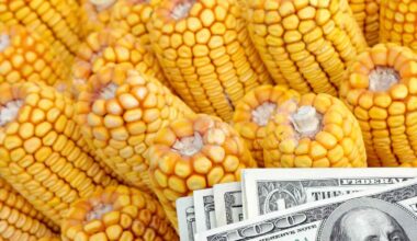 Lawmakers Eye at Least $15 Billion More in Farmer Aid