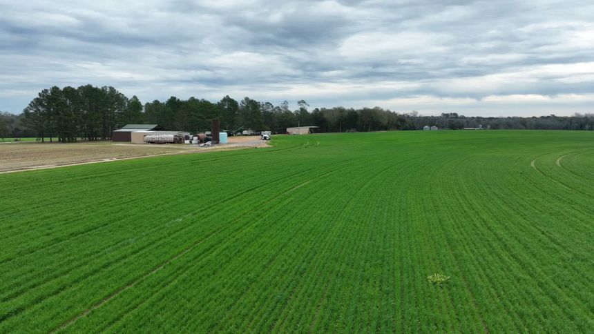 An aerial view of Rowland's farm in Boston, Georgia.