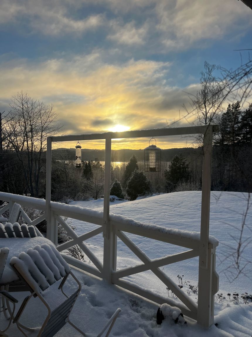 According to Adolfsson, the small and sparsely populated island, is at least half an hour drive from “civilization.”