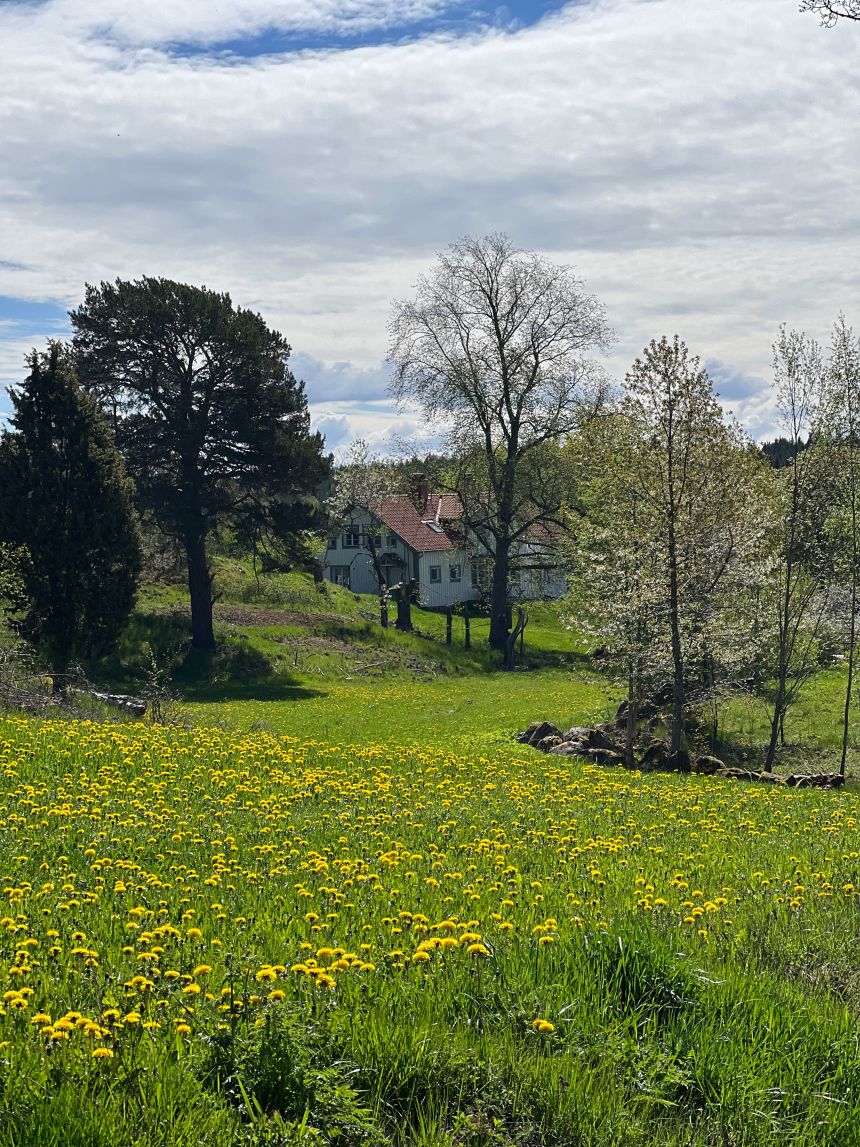 “It’s gorgeous here,” Arabella Carey says of Torpön.