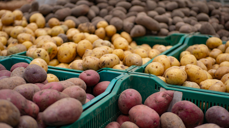 Different varieties of potatoes