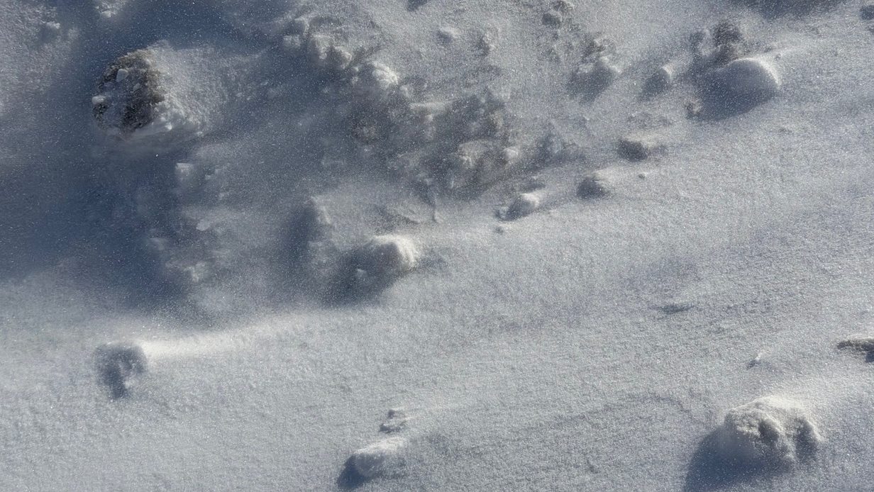 Waterloo Region expects another January snowfall