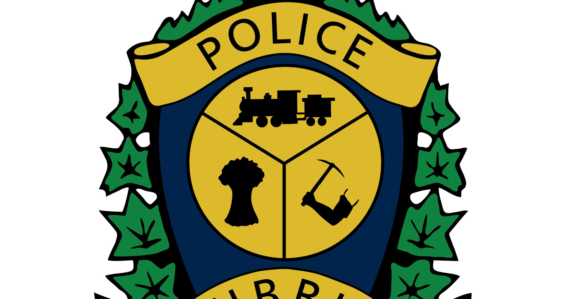 Male charged with sex offences back in custody after re-arrest for breaching release conditions