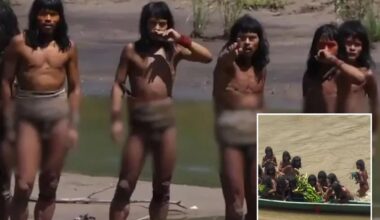 Never-before-seen footage of uncontacted Amazonian tribe shared by conservationist
