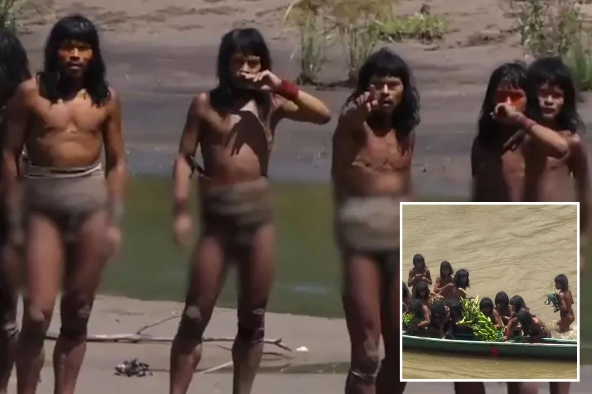 Never-before-seen footage of uncontacted Amazonian tribe shared by conservationist