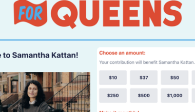 DSA member Samantha Kattan hopes to succeed Claire Valdez in the Assembly