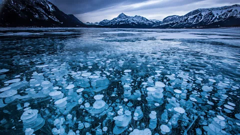 Alamy The rail trail passes near Alberta's Abraham Lake and its otherworldly bubbles (Credit: Alamy)