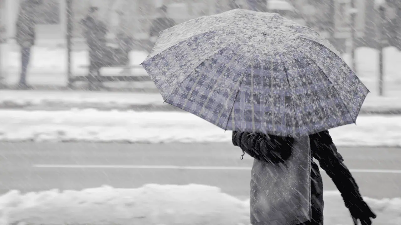 WEATHER ALERT: Snow squalls to bring up to 40 cm in parts of southern Ontario