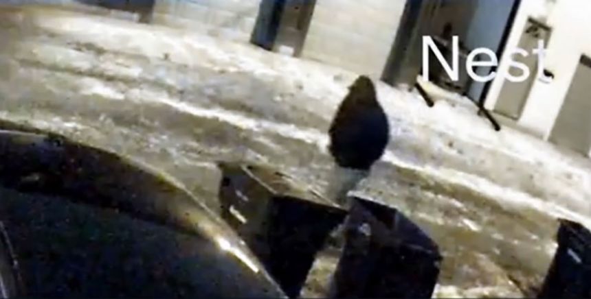 Footage released by Columbus police shows a 