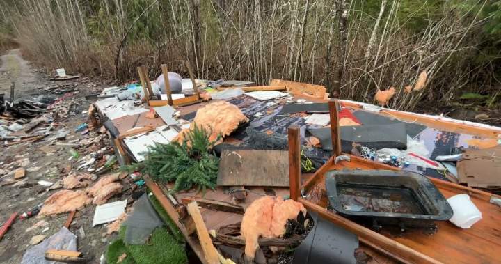 ‘Atrocious’: Chilliwack residents concerned about abandoned homeless camp - BC