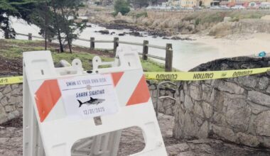 Swimmer Erica Fox died from shark attack near Lovers Point in Pacific Grove, coroner confirms